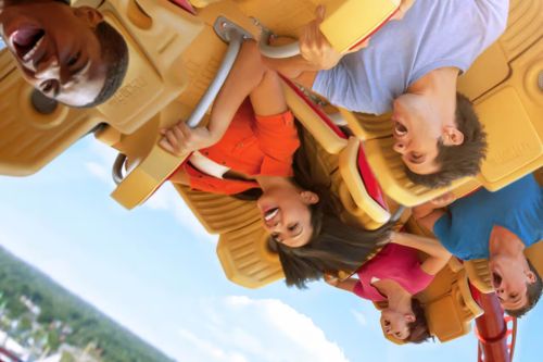 Hollywood Ripride Rockit